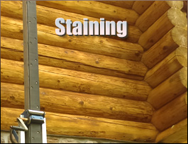  Orkney Springs, Virginia Log Home Staining